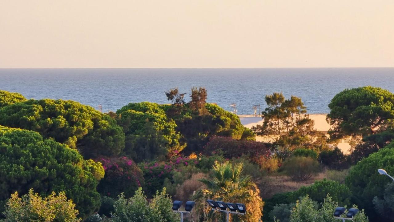 Apartment Vivienda Turistica Playa *
